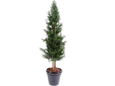 PEGANE Plante artificielle haute gamme Sp&eacute;cial ext&eacute;rieur / Cypr&egrave;s artificiel DE LAWSON UV r&eacute;sistant - Dim : 210 x 60 cm 