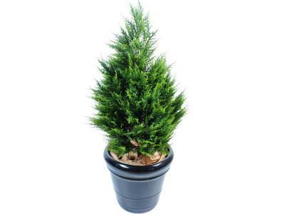 PEGANE Plante artificielle haute gamme Sp&eacute;cial ext&eacute;rieur / Cypr&egrave;s Junip&eacute;rus Artificiel - Dim : 105 x 57 cm