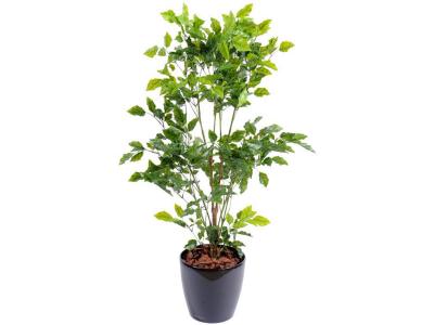 PEGANE Plante artificielle haute gamme Sp&eacute;cial ext&eacute;rieur / Palissandre artificielle vert - Dim : 120 x 60 cm -- 