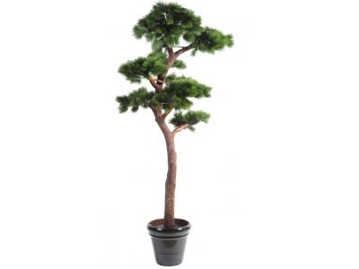 PEGANE Plante artificielle haute gamme Sp&eacute;cial ext&eacute;rieur / PIN artificiel BONSAI UV - Dim : 220 x 120 cm