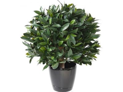 PEGANE Plante Artificielle / Laurier artificiel Boule - Dim : 65 x 60 cm --
