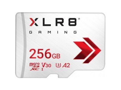 PNY Carte M&eacute;moire Micro Sd - P-sdu256v32100xr-ge - Blanc 