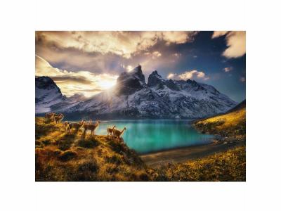 HEYE Puzzle 1000 Pi&egrave;ces : Von Humboldt Alexander - Guanacos, 