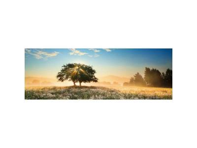 HEYE - Other License Puzzle 1000 pcs Panorama, 29901