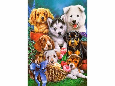 CASTORLAND  Chiots, Puzzle 1000 Teiles - - Puzzle