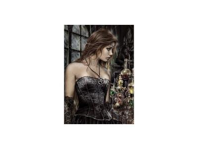 HEYE  - -29198 - Puzzle Classique - Poison - 1000 Pi&egrave;ces