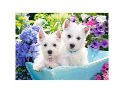 CASTORLAND  B-222032 Westie Puppies Puzzle 200 pi&egrave;ces Multicolore