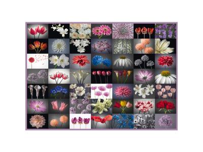 SCHMIDT SPIELE Puzzle 2000 Pi&egrave;ces : Collage Fleurs,  