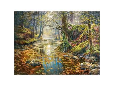 CASTORLAND Puzzle 2000 pi&egrave;ces : Souvenir d'automne aille Unique Coloris Unique