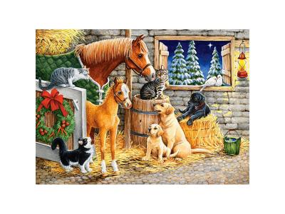 CASTORLAND  B-030255 Puzzle Gathering Friends 300 Pi&egrave;ces Multicolore
