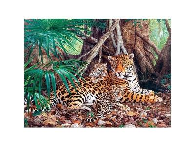 CASTORLAND  Jaguars dans la jungle Puzzle 3000 pi&egrave;ces - - Puzzle