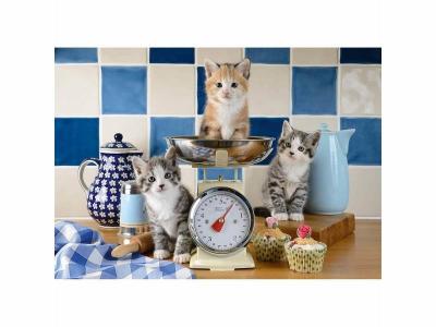  Puzzle Schmidt - Chats dans la cuisine, 500 pi&egrave;ces