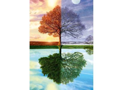 SCHMIDT SPIELE Schmidt , The Seasons Tree Puzzle - 500pc, Puzzle, Ages 12+, 1 Players