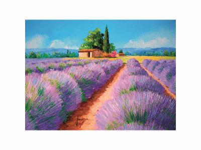  Clementoni puzzle Lavande 500 pi&egrave;ces 