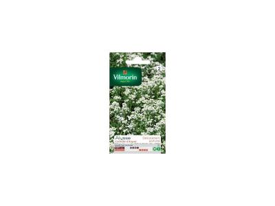 VILMORIN Alysse corbeille d'argent  1 g