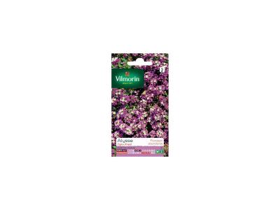 VILMORIN  5125342 Alysse, Violet, 90 x 2 x 160 cm
