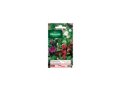 VILMORIN Balsamine cam&eacute;lia boucle vari&eacute; du rose au pourpre