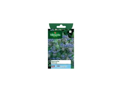 VILMORIN Bourrache Officinale - 