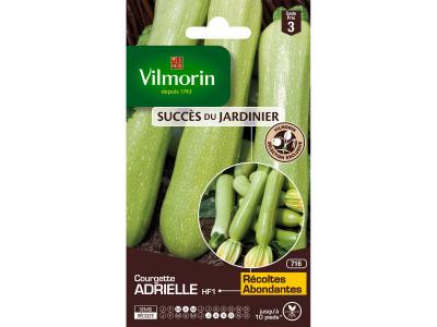 VILMORIN  - Courgette Adrielle HF1 (Cr&eacute;ation ) - sdj