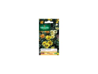 VILMORIN  - Sachet graines DImorphoteca Las Vegas