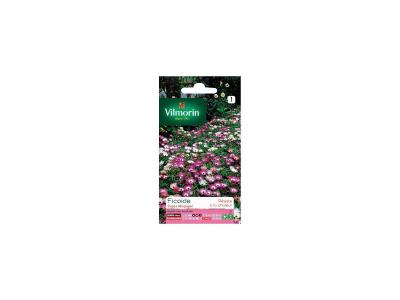 VILMORIN  - Sachet graines Fico&iuml;de Tapis magique