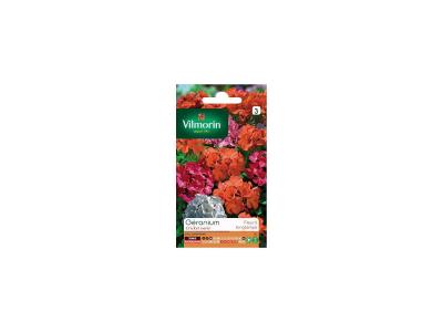 VILMORIN  - Sachet graines G&eacute;ranium Cricket Vari&eacute;