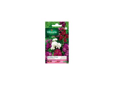 VILMORIN  - Sachet graines Girofl&eacute;e d'hiver de nice vari&eacute;e