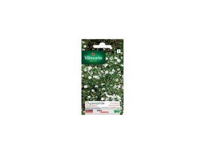 VILMORIN  - Sachet graines Gypsophile nuage blanc