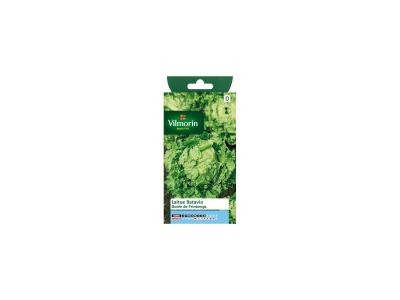 VILMORIN Graines de Laitue Batavia Dor&eacute;e de Printemps