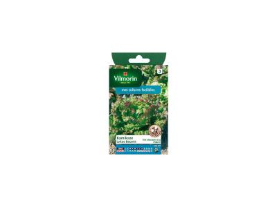 VILMORIN  Sachet graines de Laitue Batavia KAMIKAZE Feuilles rouges