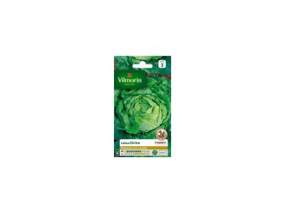 VILMORIN  3628343 Pack de Graines Laitue Pomm&eacute;e Divina Cr&eacute;ation