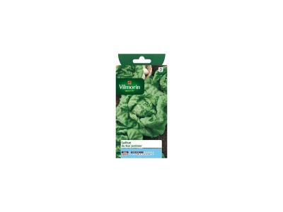 VILMORIN Graines de Laitue Pomm&eacute;e du Bon Jardinier
