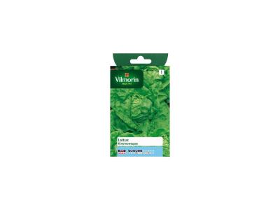 VILMORIN Laitue Pomm&eacute;e Kinemontepas +&eacute;chantillon laitue Pomm&eacute;e Sagess