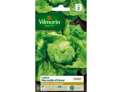 VILMORIN Graines de Laitue Pomm&eacute;e Merveille d'Hiver 