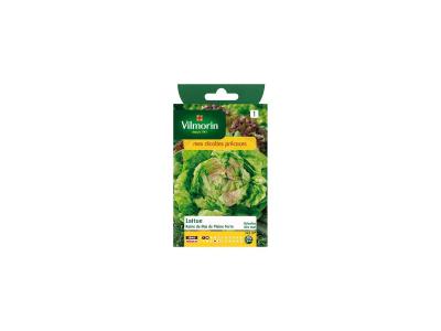VILMORIN  - Sachet graines Laitue Reine de Mai de pleine terre