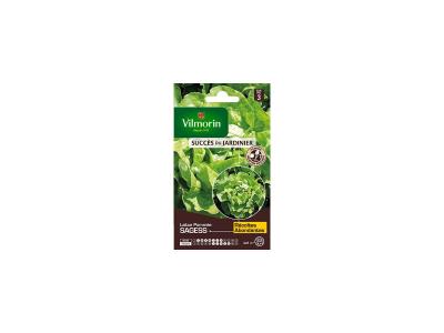 VILMORIN  Sachet graines de Laitue Pomm&eacute;e SAGESS
