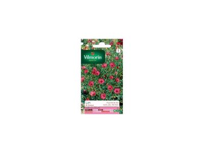 VILMORIN Lin de Venise Rouge - 