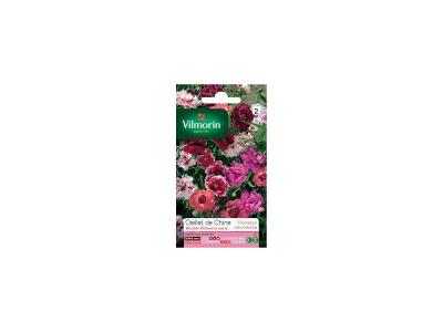 VILMORIN  - Oeillet de Chine double  - vari&eacute;