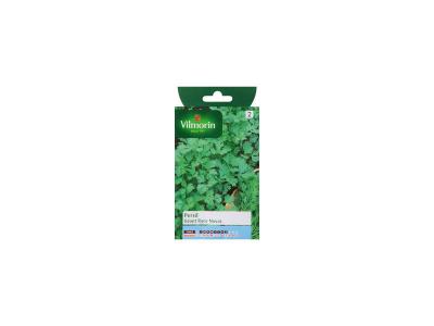 VILMORIN  - Sachet graines Persil G&eacute;ant race Novas
