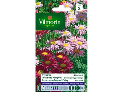 VILMORIN  - Pyrethre g&eacute;ant vari&eacute;