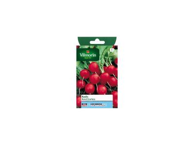 VILMORIN  - Radis ronds &eacute;carlate