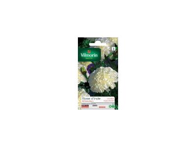 VILMORIN  - Sachet graines Rose d'inde Kilimandjaro