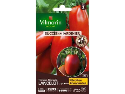VILMORIN  Tomate Lancelot HF1 Sachet de graines - Obtention 