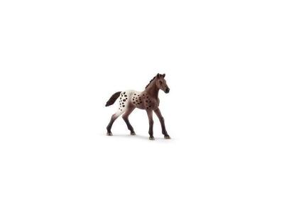 SCHLEICH - Figurine Poulain Appaloosa Horse Club, 13862, Multicolore