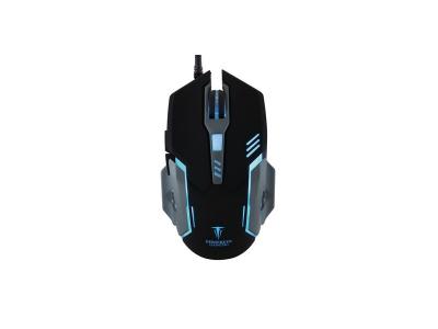 ALPHA OMEGA PLAYERS Souris de gaming Berserker Gaming V2 filaire optique &eacute;clair&eacute;, port USB noir 