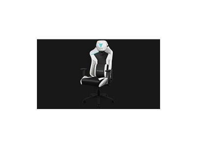 THUNDERX3 Fauteuil Gamer TC3 Max (Noir/Blanc/Gris/Bleu)