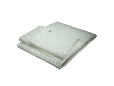 TECPLAST B&acirc;che plastique arm&eacute;e 4x3 m transparente 170g/m&sup2; - b&acirc;che translucide arm&eacute;e en poly&eacute;thyl&egrave;ne
