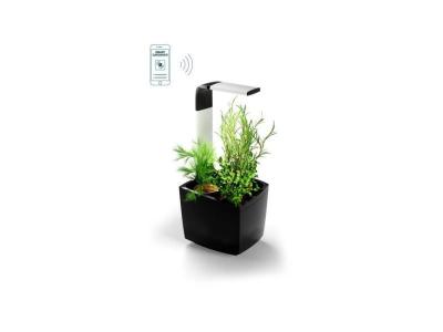 TREGREN Potager d&rsquo;int&eacute;rieur connect&eacute;  T3 Noir