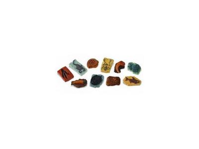 SAFARI  Ltd Ancient Fossils Toob Figure Multicolore From 3 Years