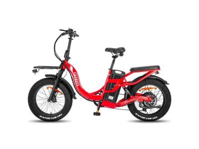 FAFREES V&eacute;lo &eacute;lectrique  F20 X-MAX - Moteur 750W Batterie 48V30AH Assisted Autonomie 180KM Frein &agrave; Disque Hydraulique - Rouge - Neuf